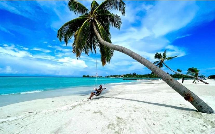 Guraidhoo Palm Inn Extérieur photo